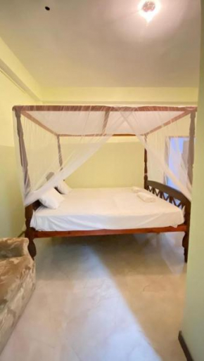 The Galle Nest